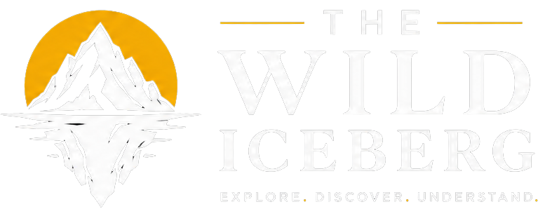 The Wild Iceberg